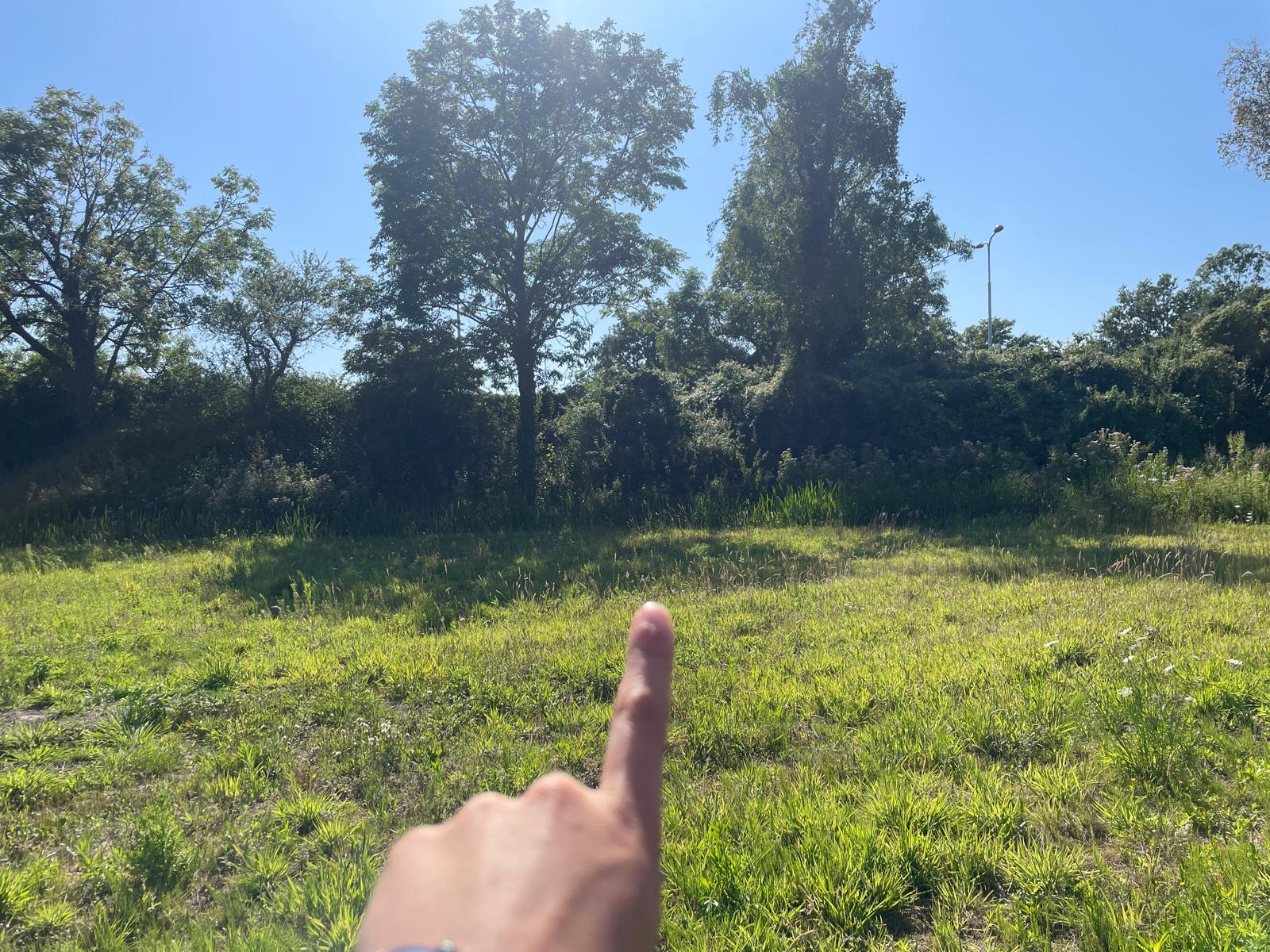 Prebouw vinger
